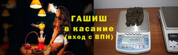 сатива Киренск