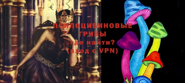 сатива Киренск